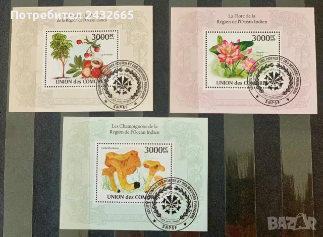 2586. Коморски острови 2010 - “ Флора. Цветя, плодове и гъби. “, CTO