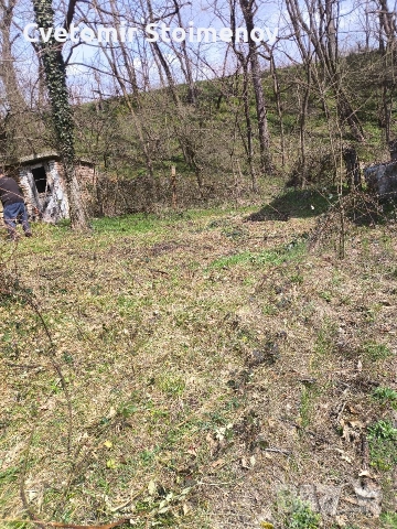 косене на запуснати терени и дворове , снимка 6 - Други почистващи услуги - 53931503