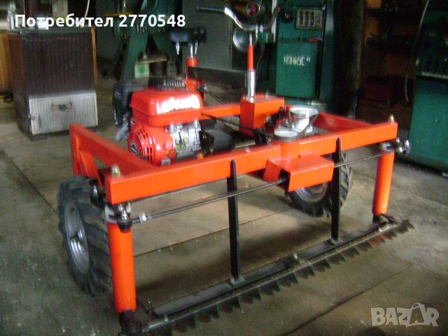 Косачка триколка