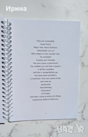 James Joyce's "Finnegans Wake" in quotation selections, снимка 9 - Художествена литература - 54081804