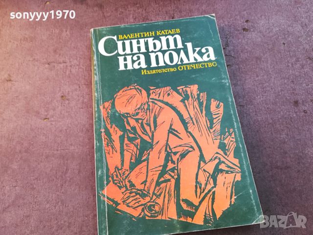 СИНЪТ НА ПОЛКА-КНИГА 0804241011, снимка 1 - Други - 45169886