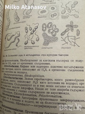 Милиарди микроби-Карл Лиднер, снимка 9 - Специализирана литература - 45334678