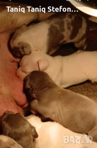 малки страхотни бебета от добри родители