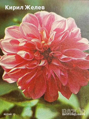 Старо календарче серия ЦВЕТЯ много красиво за КОЛЕКЦИЯ ДЕКОРАЦИЯ 30097, снимка 2 - Колекции - 51232491