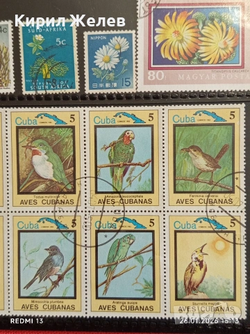 Стари пощенски марки от цял свят смесени ПТИЦИ, ЦВЕТЯ за КОЛЕКЦИЯ ДЕКОРАЦИЯ 52069, снимка 3 - Филателия - 53232019