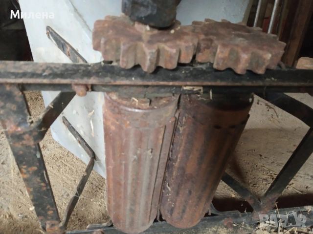 Стара гроздомелачка, снимка 4 - Други - 53636715