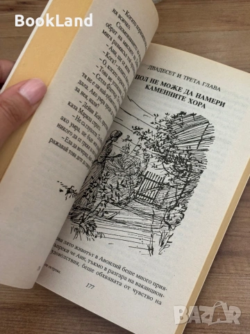 Анн от острова| Луси Монтгомъри | ПАН, снимка 9 - Детски книжки - 54265515