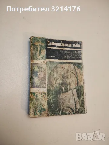 Торене и растителна защита в двора – Васил Богданов, Стефан Горбанов, снимка 6 - Специализирана литература - 49616767