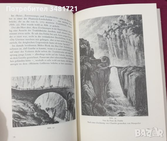 Goethe in der Schweiz: anders zu lesen. Von der Wahrheit in der Dichtung letztem Teil, снимка 5 - Художествена литература - 45667767