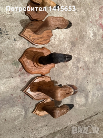 Продавам дървени закачалки, снимка 3 - Други ценни предмети - 52502508