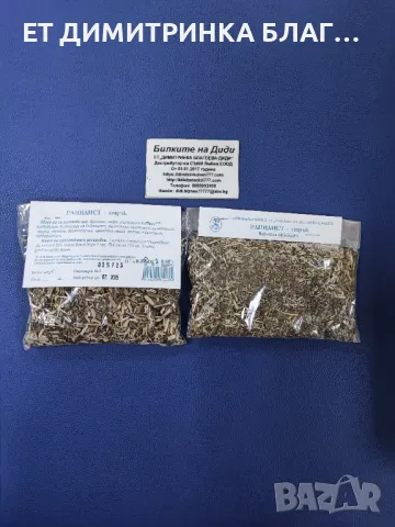 РАНИЛИСТ -  стрък - Betonica officinalis L.   Може да се използва при:  @ Бронхит;  @ Задух;  @ Мага