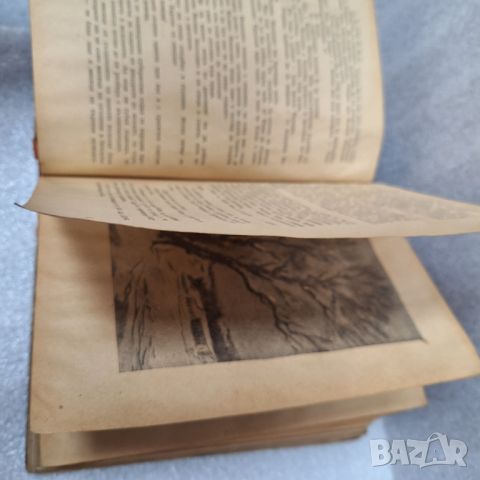 Стара Книга: "Педагогическа поема" от А. С. Макаренко, 1948 г., снимка 7 - Други - 46430634
