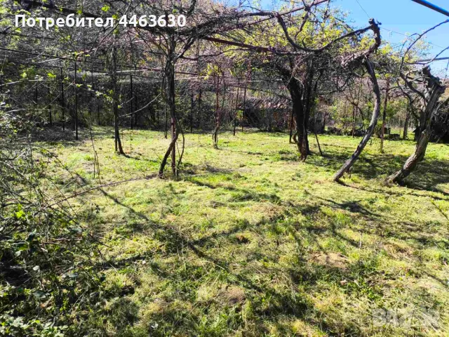 Парцел в с. Крайни дол, снимка 13 - Парцели - 50165003