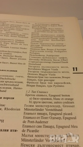 Световна енциклопедия на кучетата - Венелин Динчев, снимка 8 - Енциклопедии, справочници - 54083830