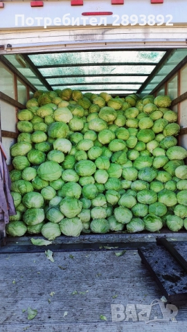 Продавам Марлу и кьосе  в с. Синитово