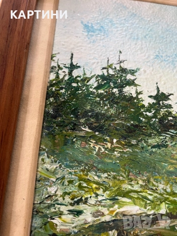 Никола Ризов картина - Пейзаж, снимка 3 - Картини - 51677252