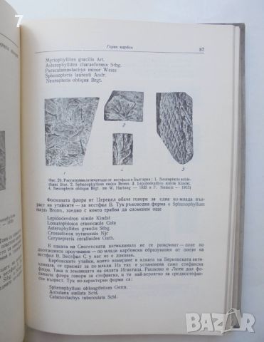 Книга Геология на България. Част 1 Еким Бончев 1955 г., снимка 3 - Други - 46164681