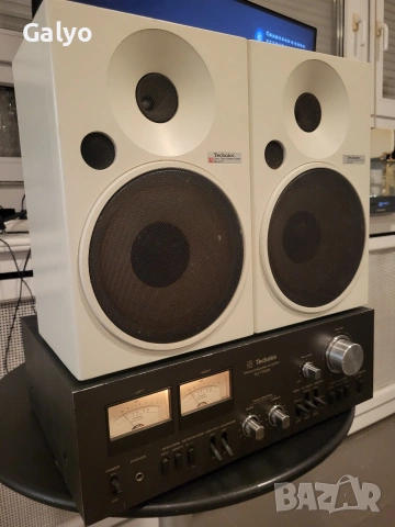 Technics SB F071, снимка 2 - Тонколони - 53979079