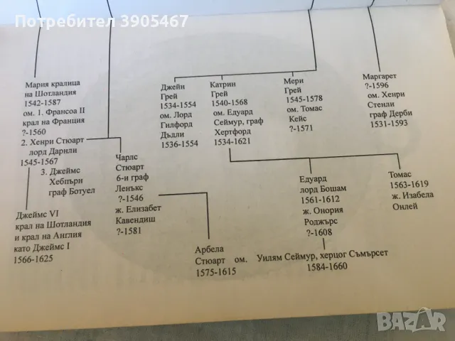 Елизабет Първа/ Триумфът, снимка 5 - Художествена литература - 47791113