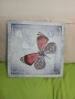 Картина пеперуда 50/50, снимка 1
