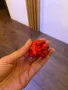 Carolina Reaper Каролина Рипер, снимка 7