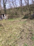 косене на запуснати терени и дворове , снимка 6