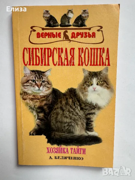 Сибирская Кошка. История. Стандарт. Содержание. Разведение. Выставки., снимка 1