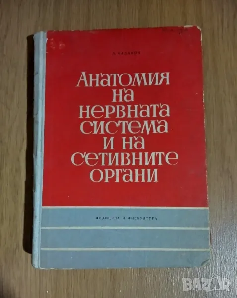 Анатомия на нервната система и на сетивните органи, снимка 1