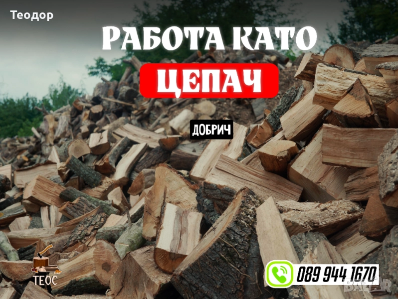 Общ работник - цепене и товарене на дърва, снимка 1
