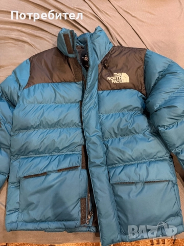 Зимно яке The North Face Limbara , снимка 3 - Якета - 52752206