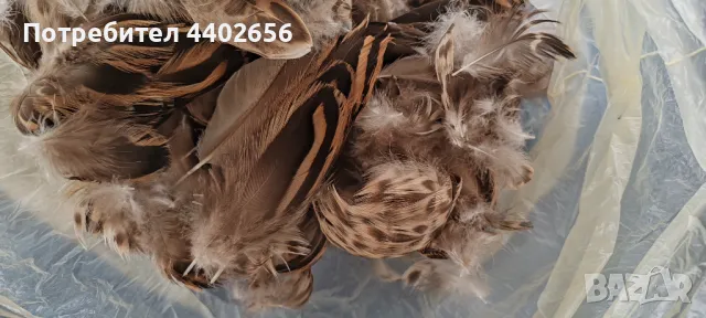 Пера от диви патици за Мухарски риболов , снимка 2 - Стръв и захранки - 49695686