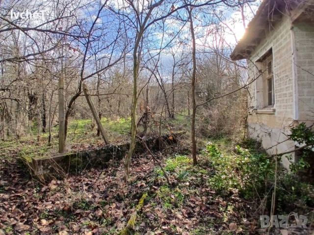 Имот за екотуризъм в Отец Паисиево, снимка 4 - Къщи - 53399766