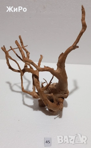 Корен от Азалия /декорация/ 45, снимка 4 - Други - 54102063