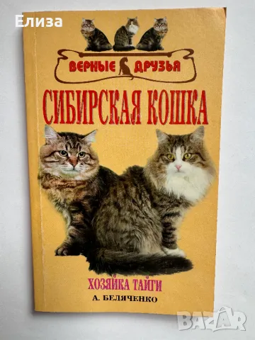 Сибирская Кошка. История. Стандарт. Содержание. Разведение. Выставки., снимка 1 - Специализирана литература - 47087516