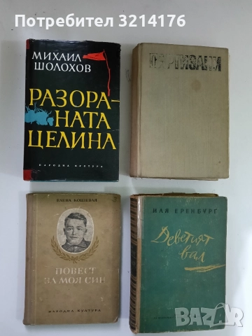 Повест за моя син - Елена Кошевая 