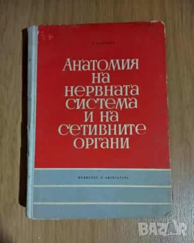 Анатомия на нервната система и на сетивните органи, снимка 1 - Специализирана литература - 49202608