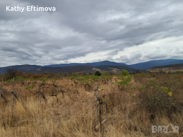 ЗЕМЕДЕЛСКА ЗЕМЯ СЕЛО ПЪРВЕНЕЦ, ОБЛАСТ ПЛОВДИВ , снимка 6 - Земеделска земя - 47307581