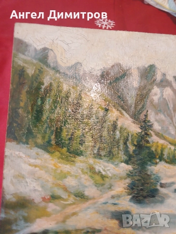 Маслена картина , снимка 8 - Картини - 51846315