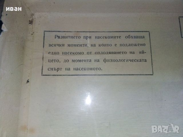 "Превръщане при насекомите/Метаморфоза/" - ДПП-"Детска радост" - София, снимка 3 - Други ценни предмети - 46590963