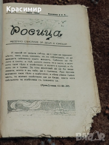 Винтидж Списание Росица 1924-1925 г. , снимка 9 - Детски книжки - 52983650