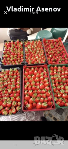 Ягоди, снимка 6 - Козметични уреди - 53946989