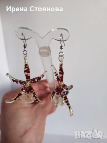 Обеци с естествен цвят на орхидея Brassia, снимка 12 - Обеци - 53662889