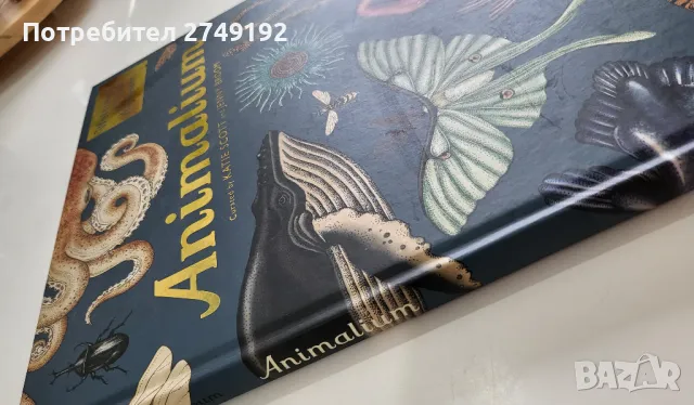 Animalium - Джени Брум, снимка 3 - Енциклопедии, справочници - 46891319