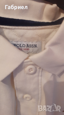 Мъжка тениска Polo ASSN. , снимка 5 - Тениски - 45006532