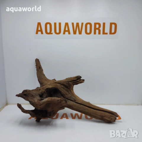 Мангров корен 7