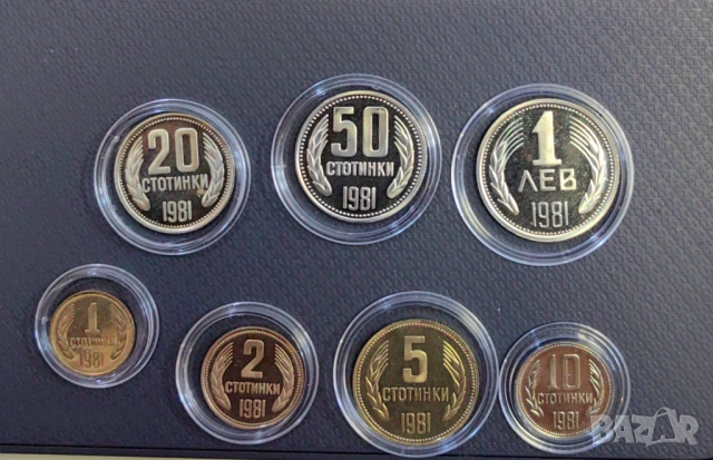 Пълен сет Мат Гланц монети 1981 година , снимка 5 - Нумизматика и бонистика - 53888758