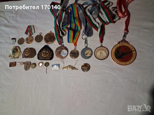 Значки и медали, снимка 2 - Колекции - 53569992