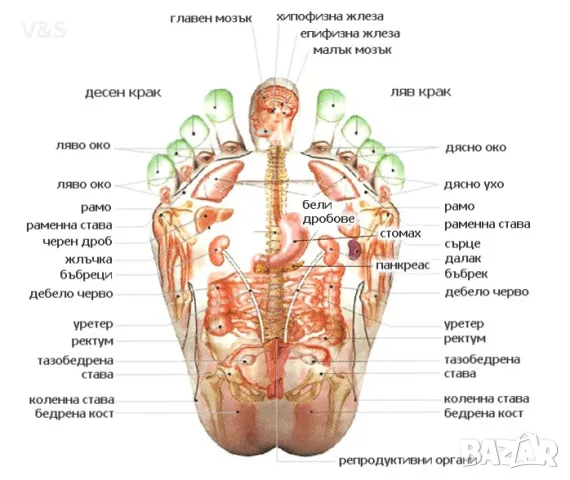 Nuga best nm55/ Нуга бест nm 55/ , снимка 3 - Масажори - 47225263