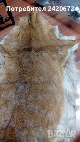 еленова кожа-изгодно, снимка 2 - Други ценни предмети - 52082864
