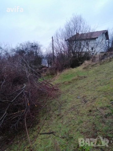 Парцел със стара къща в село Байлово, снимка 6 - Парцели - 52514791